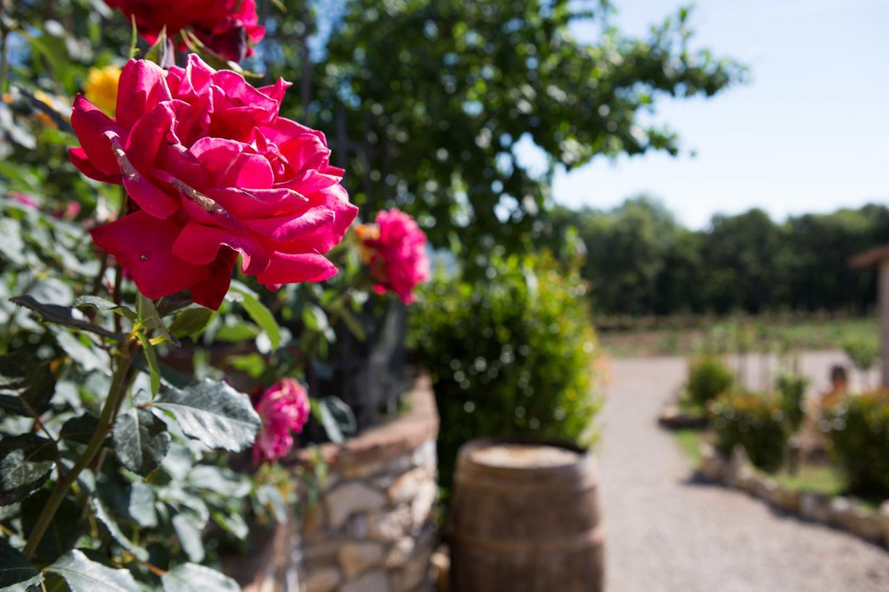 Agriturismo Borghetto Il Montino Раполано-Терме Экстерьер фото