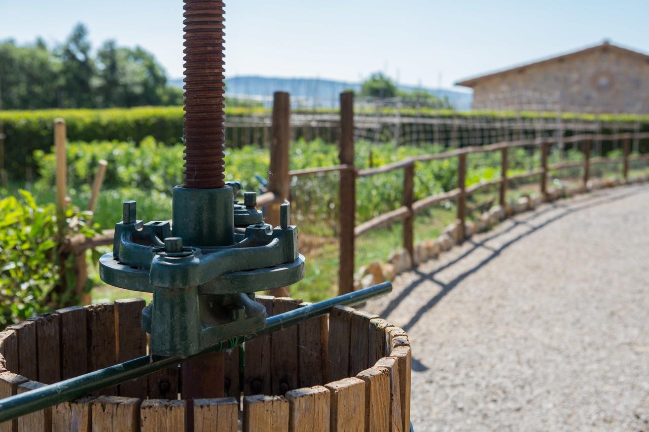 Agriturismo Borghetto Il Montino Раполано-Терме Экстерьер фото